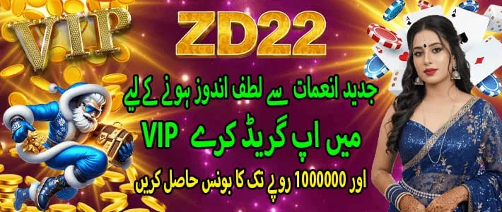 zd22 game