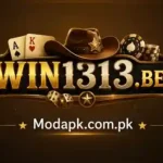 Win1313 Game